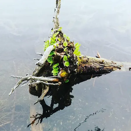 Garni Hochmoos Vendégház *