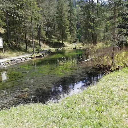 Guest house Garni Hochmoos *