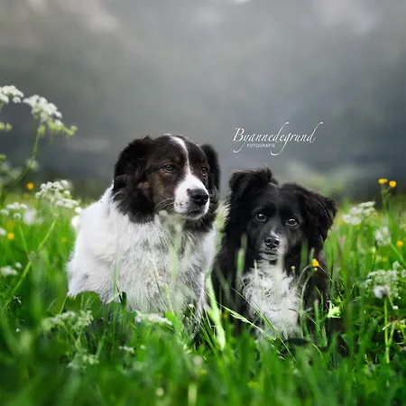 Garni Hochmoos Vendégház Lermoos
