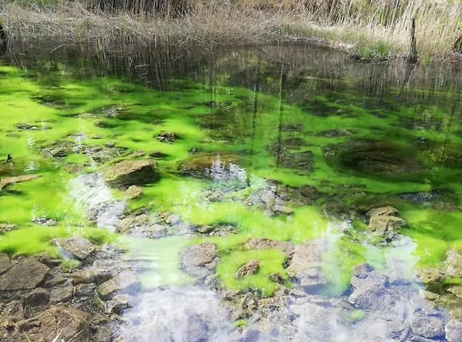 Pensionat Garni Hochmoos