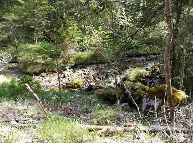 Garni Hochmoos Konukevi