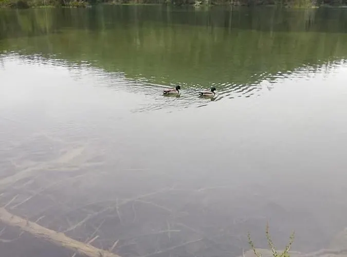 Garni Hochmoos Pensionat 3*