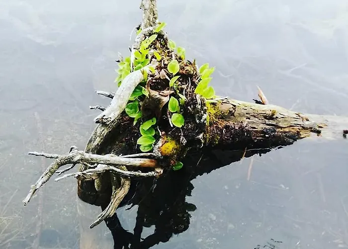 Garni Hochmoos Affittacamere 3*