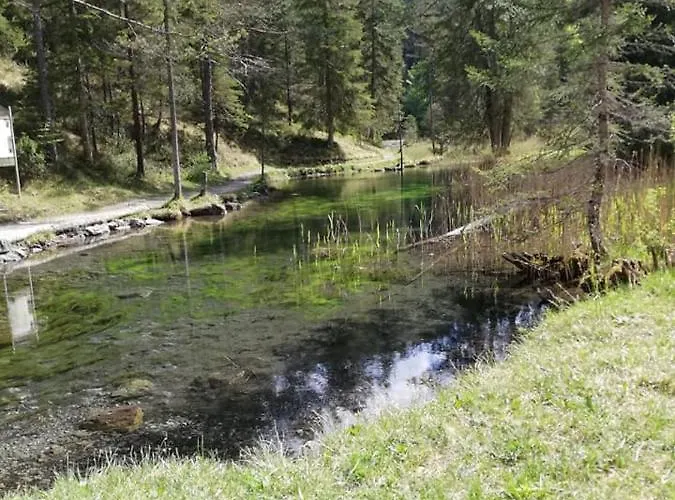 Affittacamere Garni Hochmoos 3*