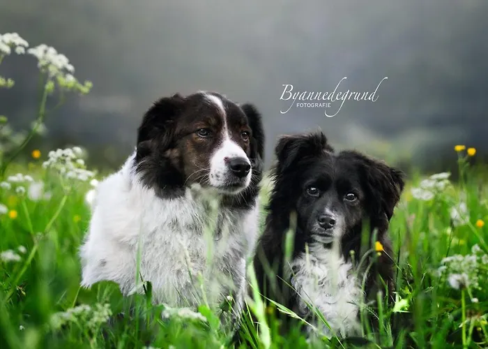 Garni Hochmoos Affittacamere Lermoos