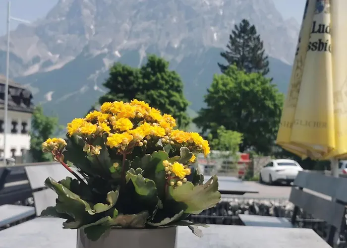 Affittacamere Garni Hochmoos Lermoos